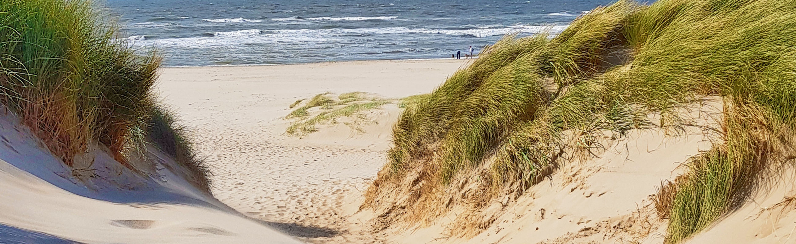 Dunen LekkerNaarZee Callantsoog