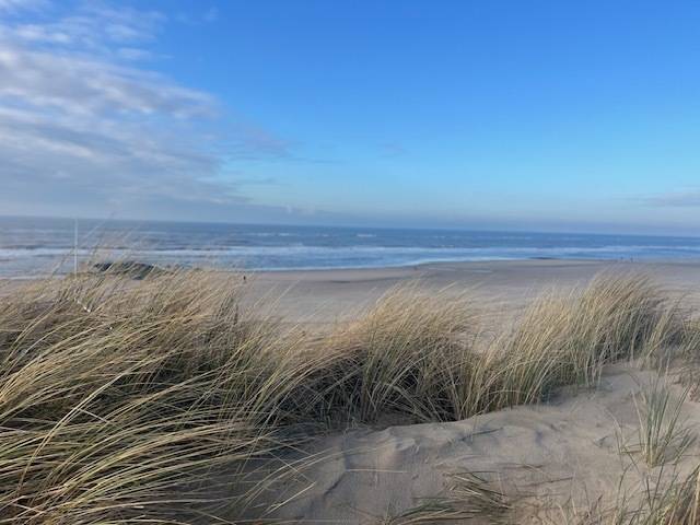 Ferienhaus Strandurlaub Callantsoog LekkerNaarZee