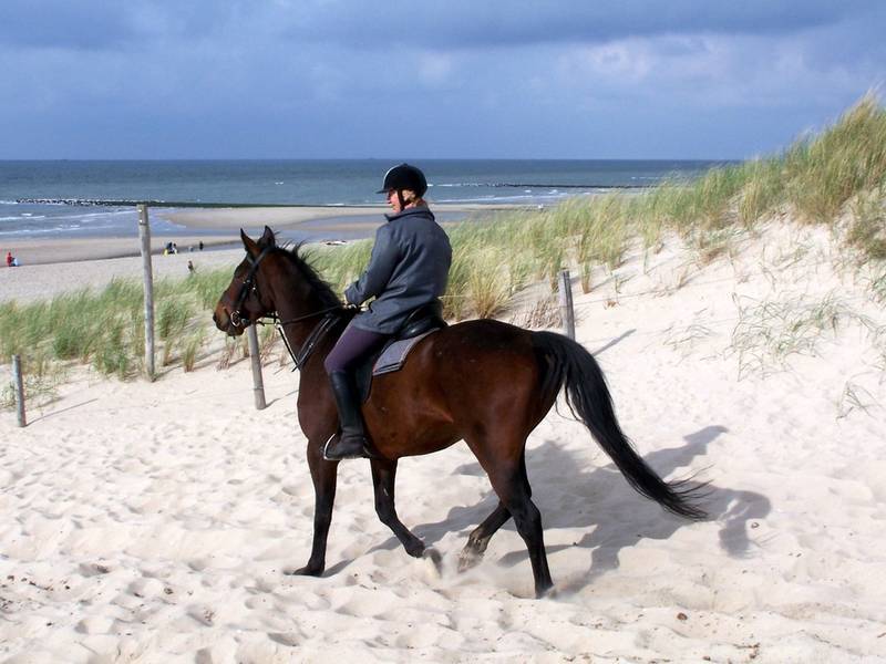 Reiten am Strand im Urlaub