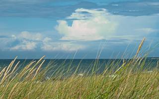 Strandurlaub Last Minute Callantsoog LekkerNaarZee