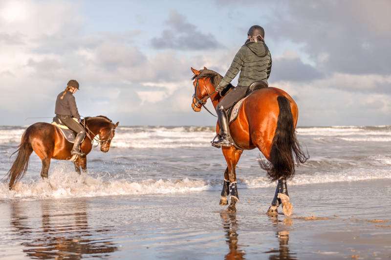 Strandurlaub Callantsoog LekkerNaarZee