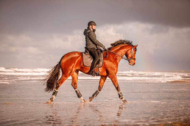 Strandurlaub Callantsoog LekkerNaarZee