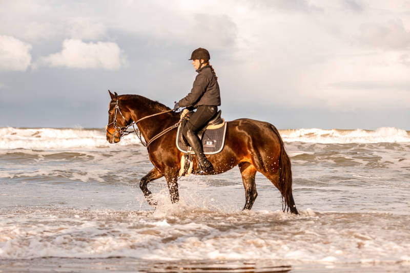 Strandurlaub Callantsoog LekkerNaarZee