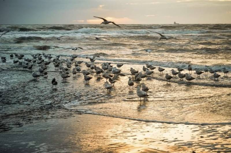 Strandurlaub Callantsoog LekkerNaarZee