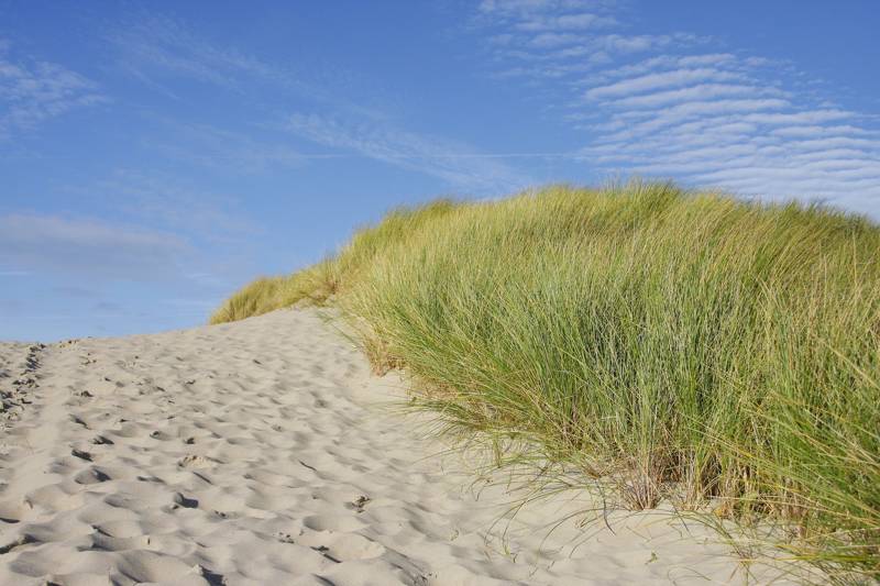 Strandurlaub Callantsoog LekkerNaarZee