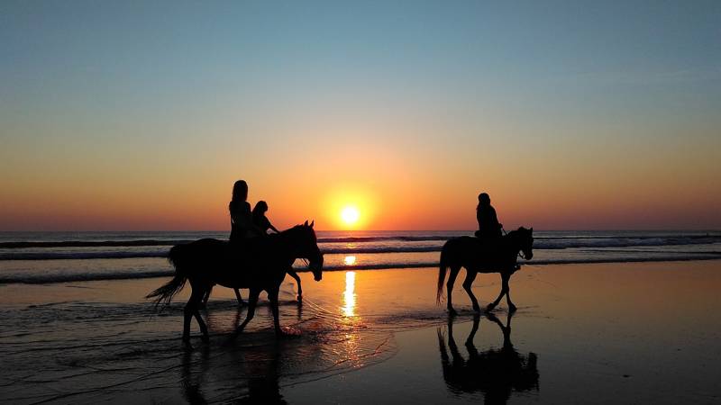 Strandurlaub Callantsoog LekkerNaarZee