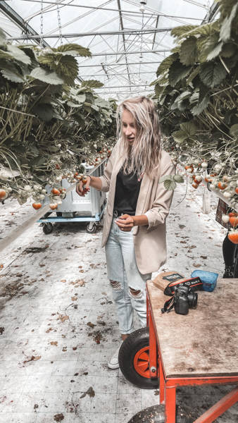 Ferienwohnung Callantsoog 