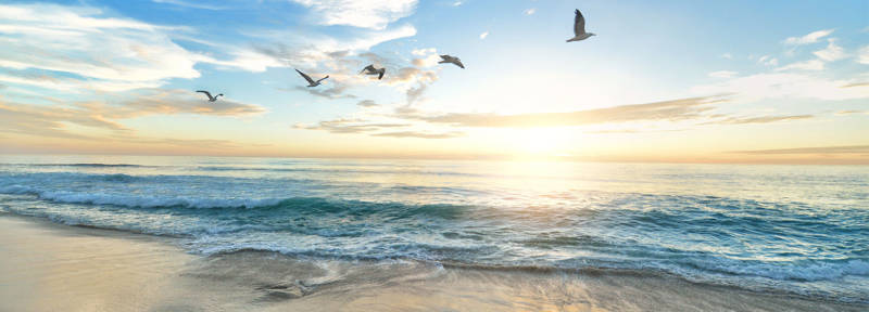 Urlaub am meer Callantsoog LekkerNaarZee