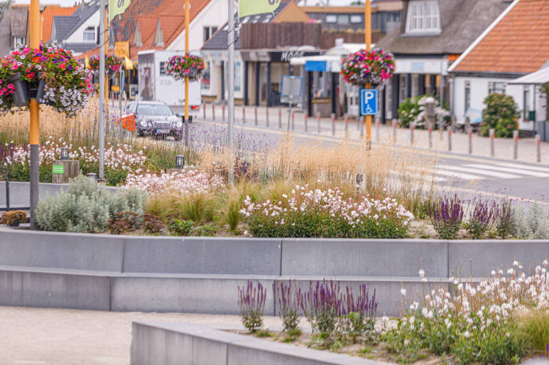 Urlaub am meer Callantsoog LekkerNaarZee