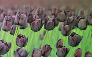 Ferienhaus Noord Holland LekkerNaarZee