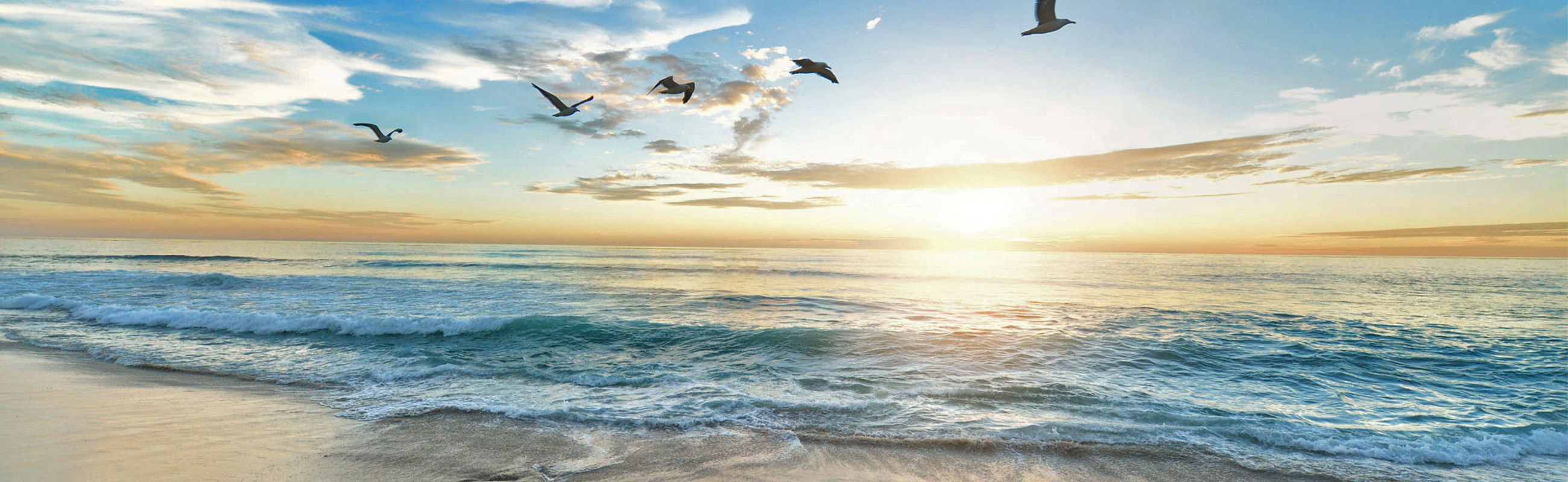 Ferienhaus Noord Holland LekkerNaarZee