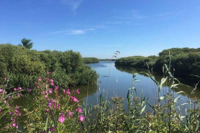 Ferienhaus Holland LekkerNaarZee