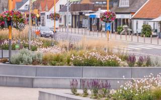 Dorfsplatz Callantsoog