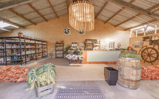 Ferienhaus Holland LekkerNaarZee