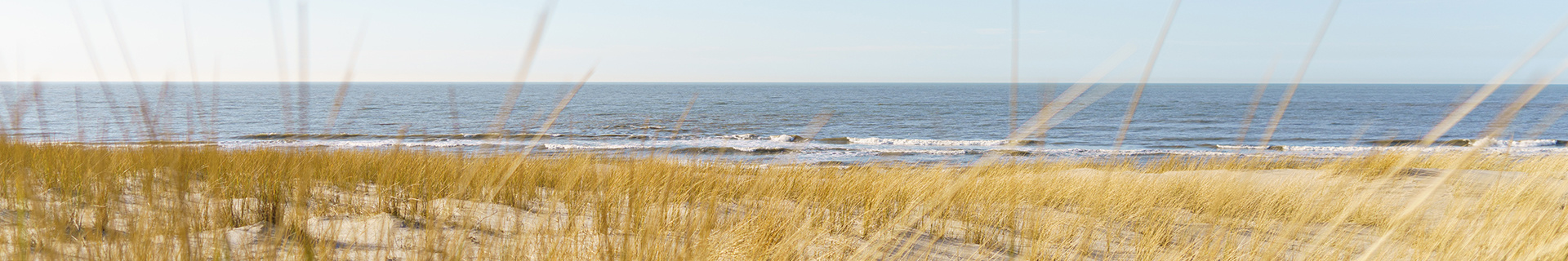 Header duinen horizon