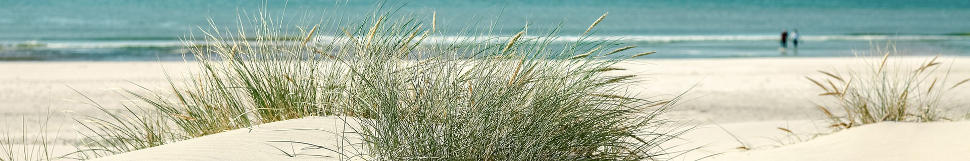 LekkerNaarZee Header