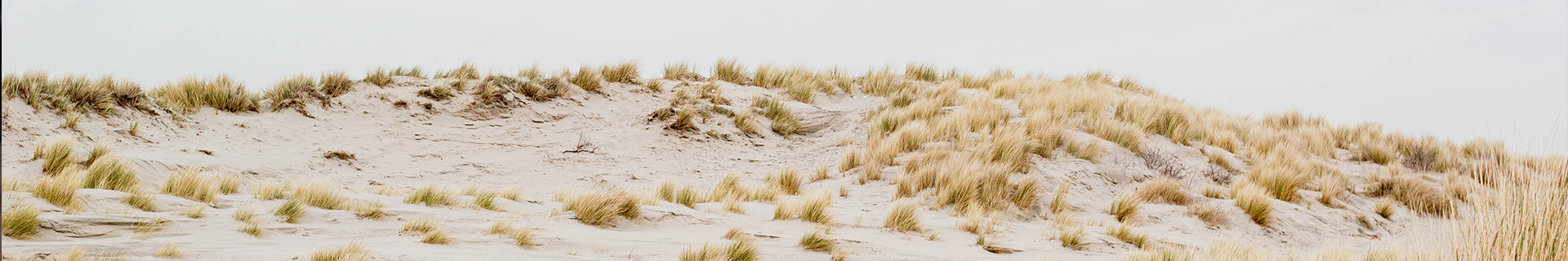 Header duinen